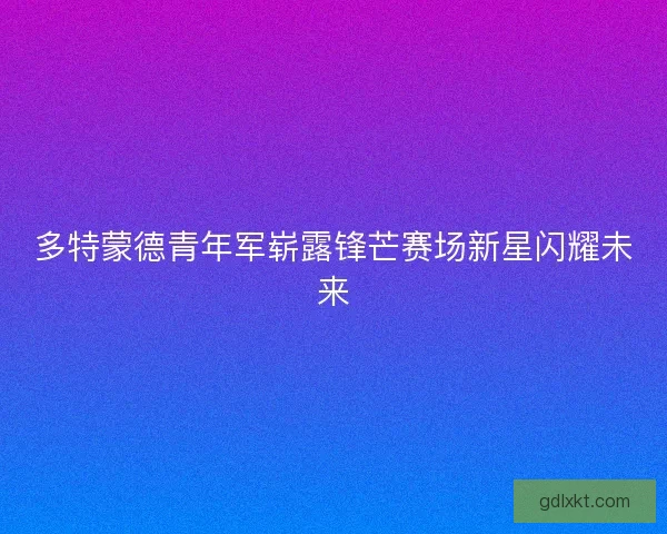 多特蒙德青年军崭露锋芒赛场新星闪耀未来