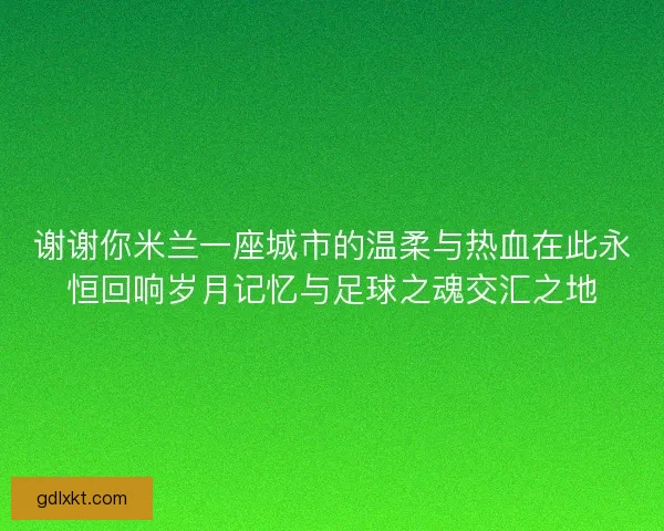 谢谢你米兰一座城市的温柔与热血在此永恒回响岁月记忆与足球之魂交汇之地