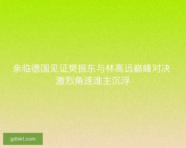 亲临德国见证樊振东与林高远巅峰对决 激烈角逐谁主沉浮