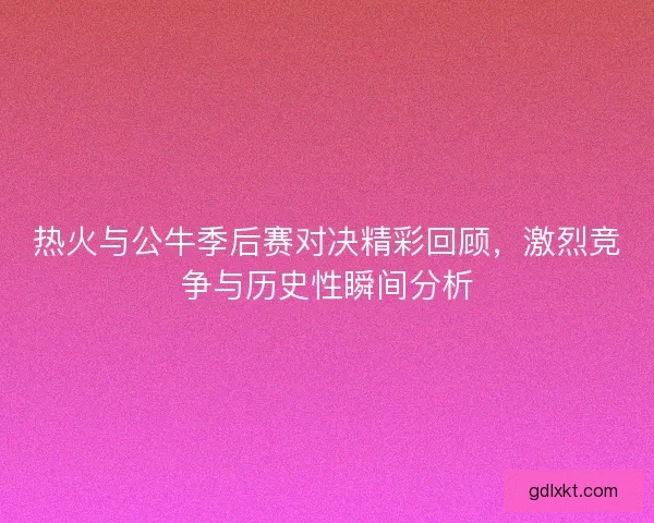 热火与公牛季后赛对决精彩回顾，激烈竞争与历史性瞬间分析