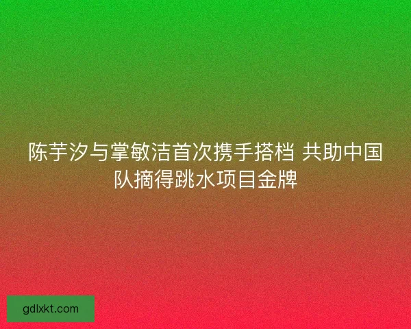 陈芋汐与掌敏洁首次携手搭档 共助中国队摘得跳水项目金牌 陈芋汐与掌敏洁首次携手搭档 共助中国队摘得跳水项目金牌